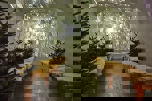 Vorarlberger Convention Forum - Raumgestaltung mit Tannenbäumen