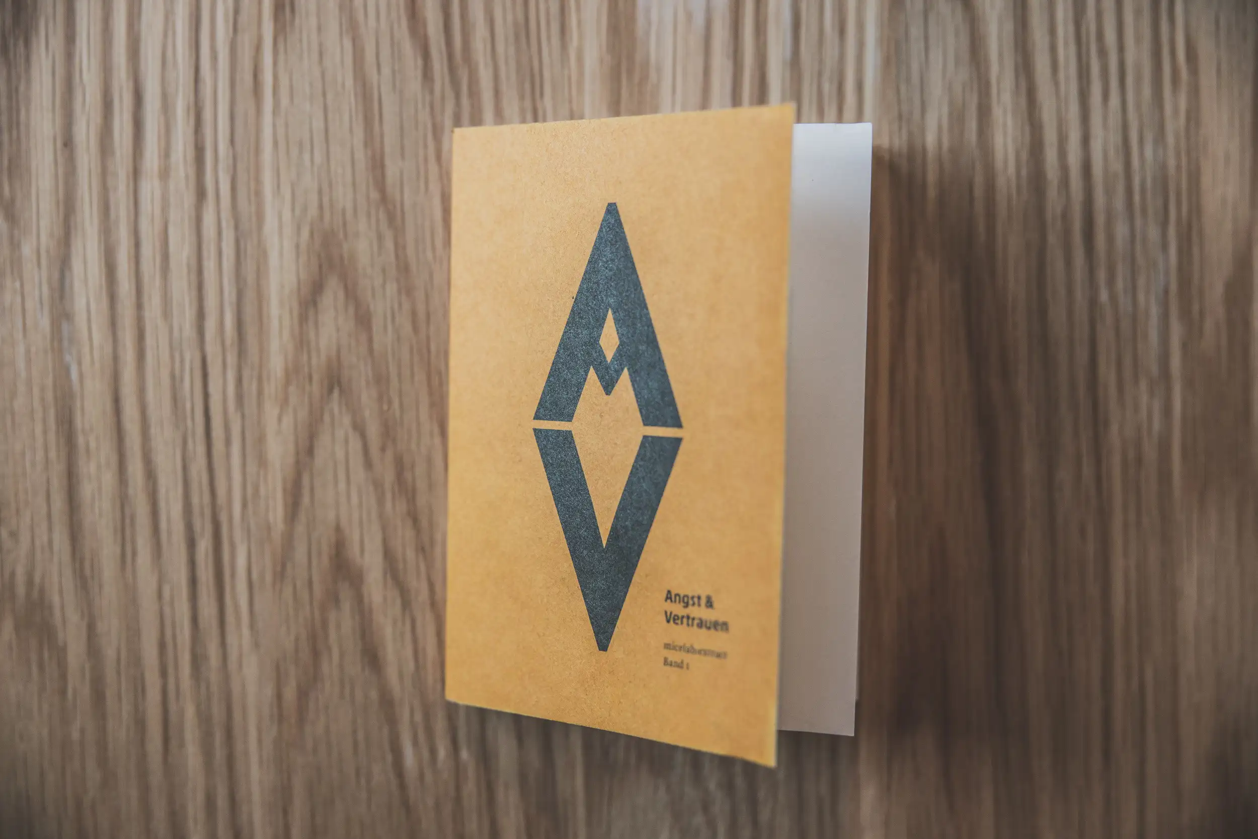 Erkenntnisse aus dem “micelab:bodensee” in Buchform © Magdalena Türtscher