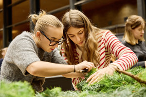 Adventhock┬®Anjakoehler 250253