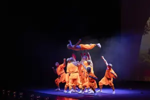 Die Mönche des Shaloin Kung Fu 