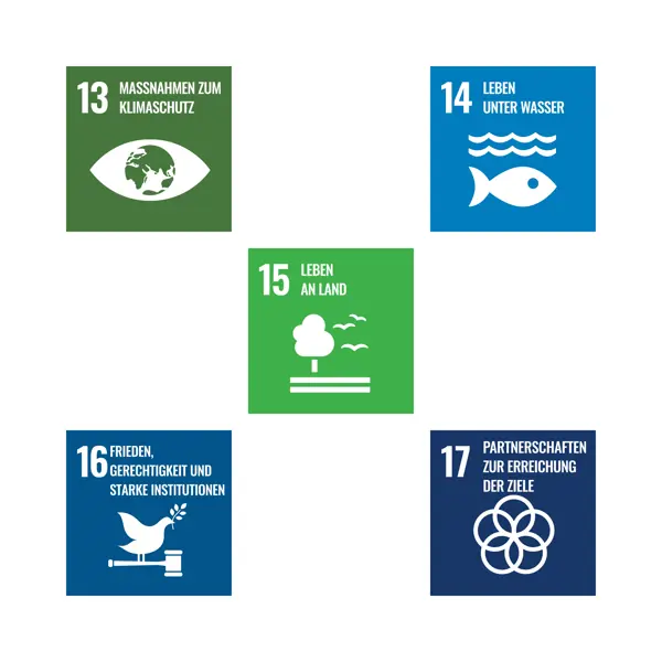 SDG Icons 13 bis 17 mit Kurztitel, deutsch