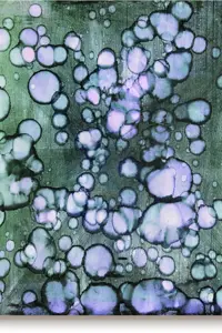 Symphonieorchester Vorarlberg ABO3 