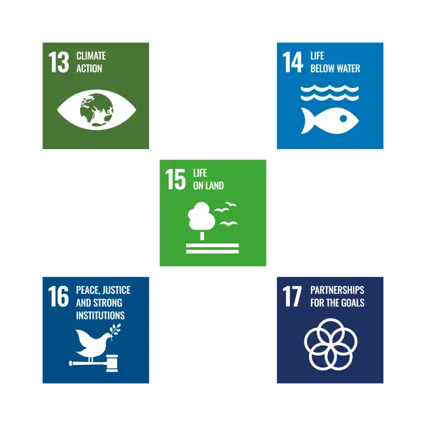 SDG Icons 13 to 17, english